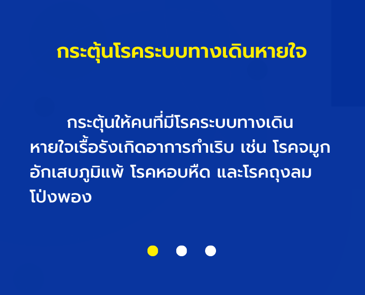 ฝ้น.png